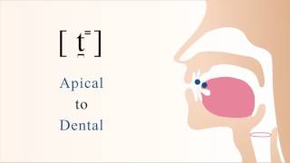 t̪⁼  unvoiced unaspirated apical dental stop [upl. by Heyes321]