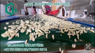 Garlic sorting machine  garlic sorter  garlic ki satai  gajanand industries [upl. by Ahsed785]