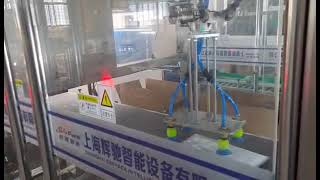 Delta robot case packing machine [upl. by Eiramana]