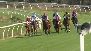 Goondiwindi 20240907 Race 2 [upl. by Anyer707]