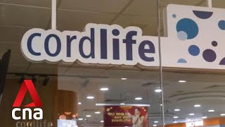 Cordlife Investigations into compromised blood units to take another 6 weeks [upl. by Noelopan]