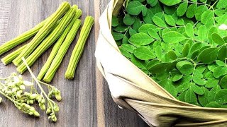 MORINGA LEAVES  How to cook moringa leaves  SUNDAY SUPERFOODS [upl. by Lipsey]