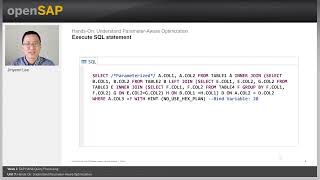 HandsOn Understand ParameterAware Optimization  W1U7  SAP HANA Query Optimization [upl. by Waiter]