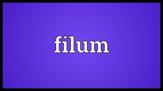 Filum Meaning [upl. by Aihsemek]