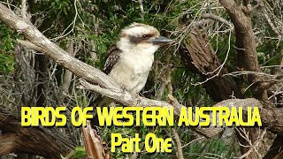 Birds of Western Australia  Part One [upl. by Koser]