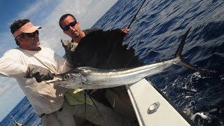 Sailfish sport fishing Islamorada Fishing Charters Florida Keys 001 720 [upl. by Gussie]