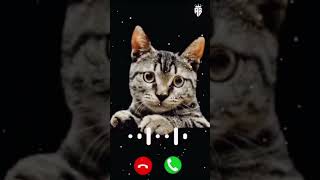 Best Tone Abe Yaar Ak Aur Message Tone  SMS Ringtone  Notification Ringtone  ringtone shorts [upl. by Wildermuth]