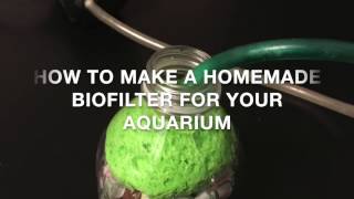 How to Make a Homemade Biofilter For Your Aquarium [upl. by Aicertal]