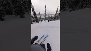 Whistler Blackcomb Skiing January 2024 [upl. by Rebmyt]