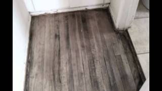 Hard Wood Floors Staining and Refinishing [upl. by Okorih]