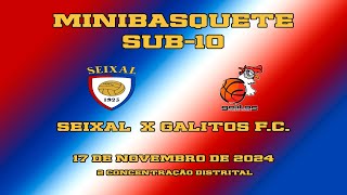 2425Sub 102ª CDSeixal x Galitos [upl. by Jammin970]