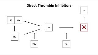 Direct Thrombin Inhibitors [upl. by Los]