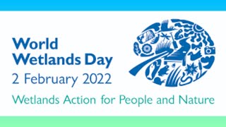 World Wetlands Day 2022  Wetlands Action For People And Nature  Easy Lines On World Wetlands Day [upl. by Johnstone]