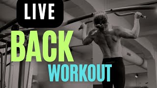 Back Workout live  Deadlifts  Barbell Bent Row  Biceps fitnessjourney indian livestream [upl. by Dumond]