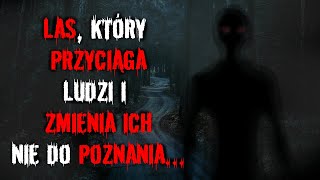 Las który przyciąga ludzi i ZMIENIA ich nie do POZNANIA  creepypasta audiobook viral [upl. by Daffi335]