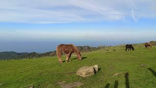 Jaizkibel Hondarribia [upl. by Rossen]