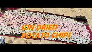 Easy Method of Sun dried Potato Chips  अगदी सोप्या पद्धतीने उन्हात वाळवलेले बटाटा चिप्स [upl. by Gnet]