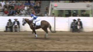 2010 Freestyle Reining Winner [upl. by Flynn]