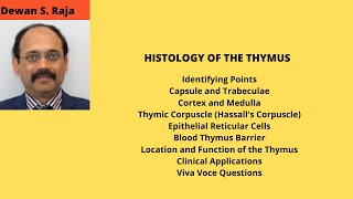 HISTOLOGY OF THE THYMUS [upl. by Wendalyn141]