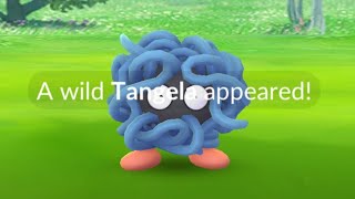 Tangela Spotlight Hour  Shiny Hunt Live Pokemon GO [upl. by Attenod]