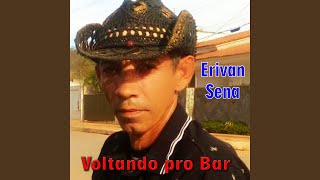 Voltando pro Bar [upl. by Teodoro796]