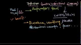 Campylobacter infection [upl. by Carnahan377]