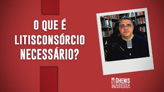 O que é litisconsórcio necessário [upl. by Airenahs]