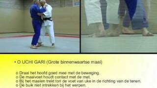 04 Judo in beeld  o uchi gari [upl. by Neetsirhc538]