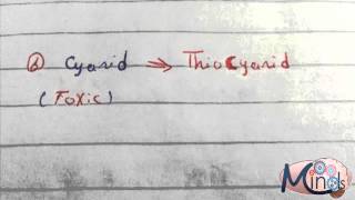 7 cystinphenyle alanine [upl. by Muir]