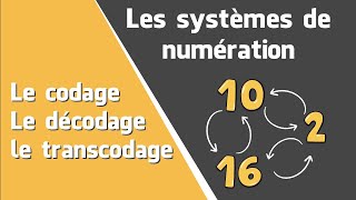 Le codage  Le décodage  Le transcodage Les systèmes de numération [upl. by Salvadore]