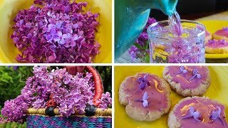 How To Make Lilac Cookies and Lilac Water  Lets Talk About Lilacs [upl. by Adnirak]