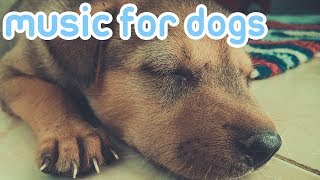 15 HOURS OF RELAXING DOG MUSIC Reduce Anxiety and Help Dogs Sleep [upl. by Idnil849]