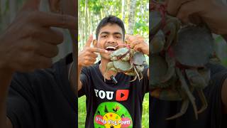 Sundarbans Big Size Crab Cooking In Outdoor Of Village [upl. by Khano379]