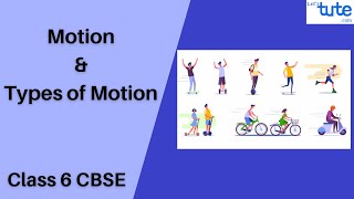 Motion and Types of Motion  Class 6  Physics  Science  Letstute CBSE [upl. by Eleahcim670]