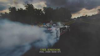 Tires Screeching Sound Effects 5 Different Cars [upl. by Rolecnahc897]