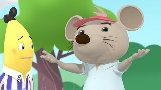 Why Is Rat Grumpy  Bananas in Pyjamas Season 2  Full Episodes  Bananas In Pyjamas [upl. by Josi556]