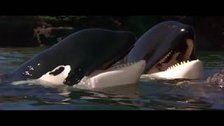 01 Main Titles Free Willy 2  1995 Soundtrack [upl. by Arekat540]