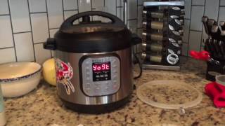 Modern Day Fox Making Yogurt In the Instant Pot [upl. by Bringhurst887]