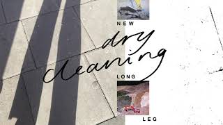 Dry Cleaning  ALC Official Audio [upl. by Greerson]