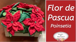 Flor de Pascua Poinsetia de Tela Nochebuenas Navidad DIY Pascuero Pastora 057 [upl. by Louanne443]