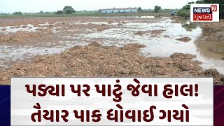 Gir Somnath News પડ્યા પર પાટું જેવા હાલ તૈયાર પાક ધોવાઈ ગયો  Unseasonal Rain  Crop Damge  N18V [upl. by Ahron]