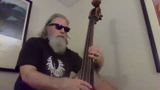 String bass electric bass style playing [upl. by Averyl436]