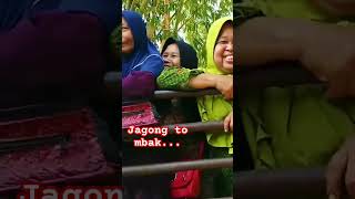 Jagong to mbakpelosokwonogiri youtubeshorts [upl. by Nitza]