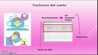 Neuropsicología Clínica Principios Bioquímicos y Neuroanatómicos en distintos trastornos [upl. by Sidonia]