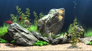 Dream Aquarium Virtual Fishtank 1 [upl. by Addie]