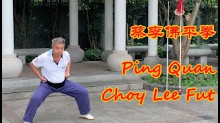 蔡李佛平拳 Ping Quan Choy Lee Fut [upl. by Saturday8]