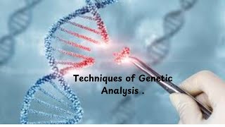 14 Reverse Transcriptase PCR RT PCR to detect RNA virus  chronic myeloid leukemia [upl. by Edi]