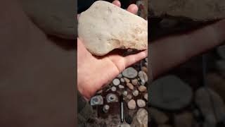 10th Axe Head but what else archeology paleontology michigan [upl. by Abbot749]