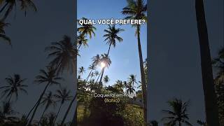 Qual você prefere [upl. by Bueschel]