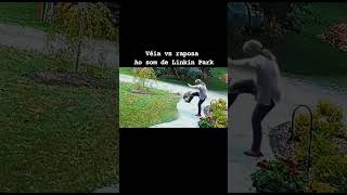 Veia vs raposa ao som de Linkin Park [upl. by Eruza31]